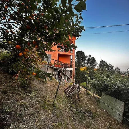Casa Sharon Vakantiehuis Bolano